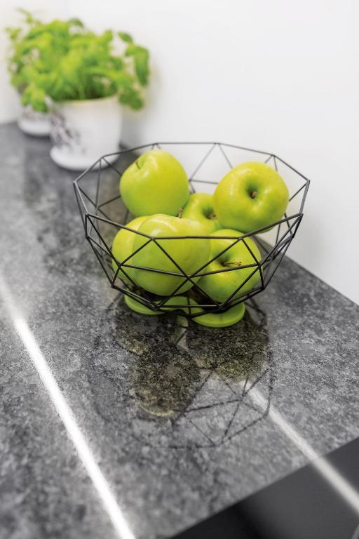 Millennium Manufaktura Green - 16