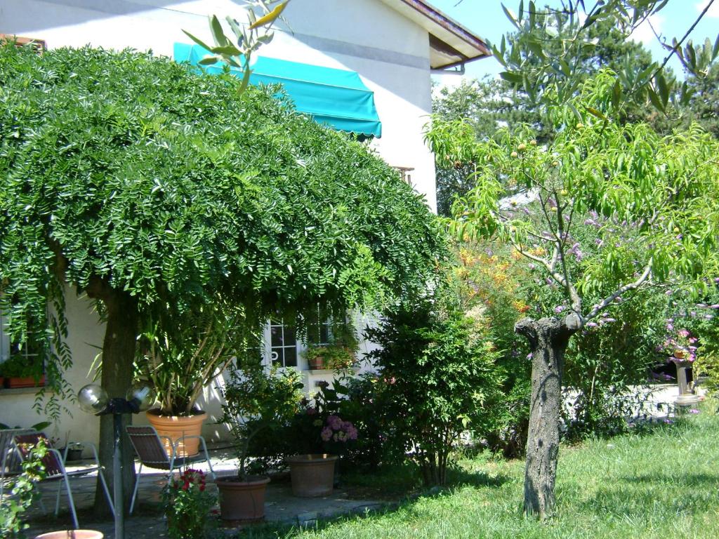 Zahrada ubytování B&B La Mimosa
