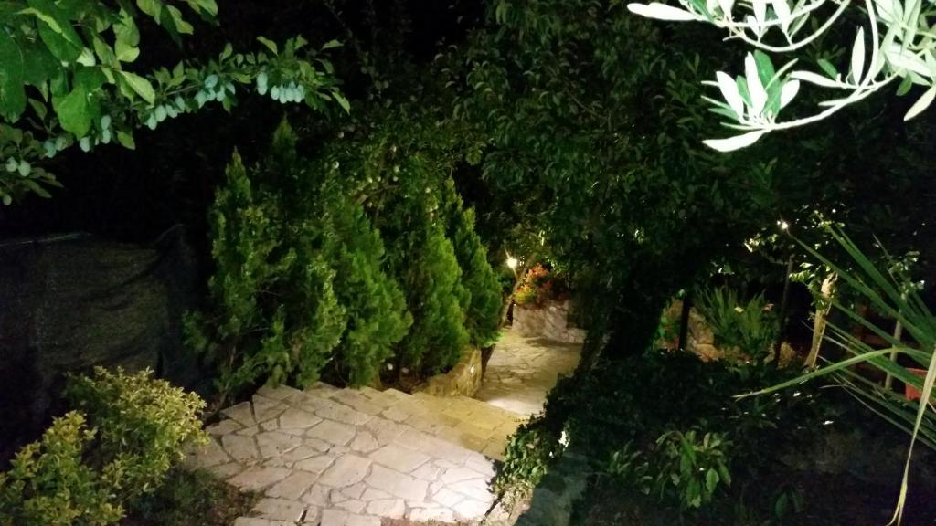 A garden outside Albergo B&B Antica Trattoria Bacco