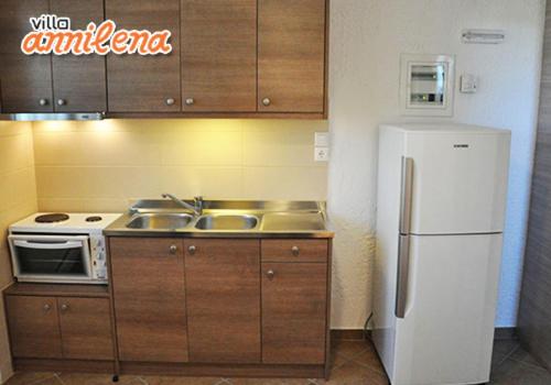 Kuchyň nebo kuchyňský kout v ubytování Villa Annilena