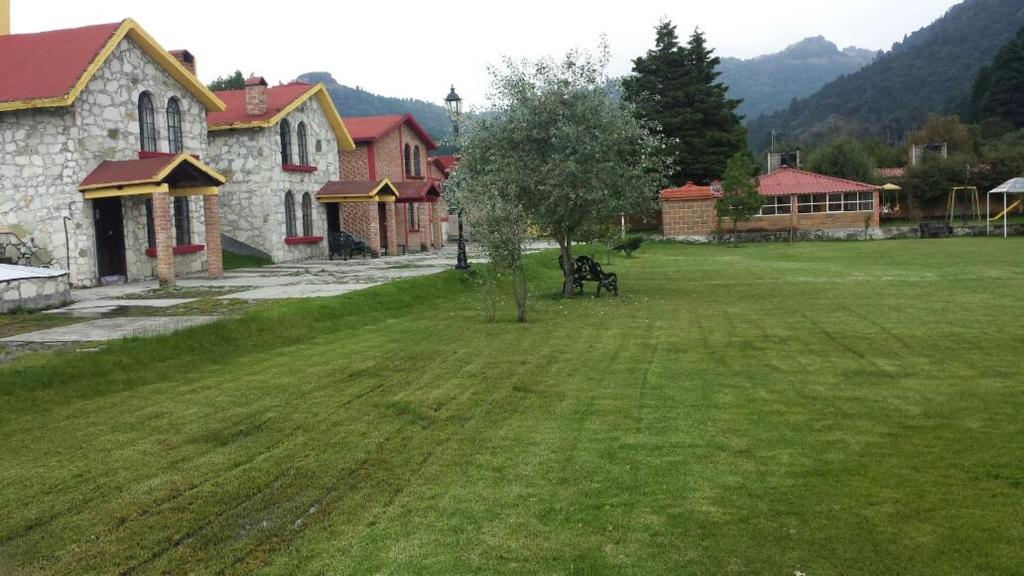 Příroda nedaleko hotelu