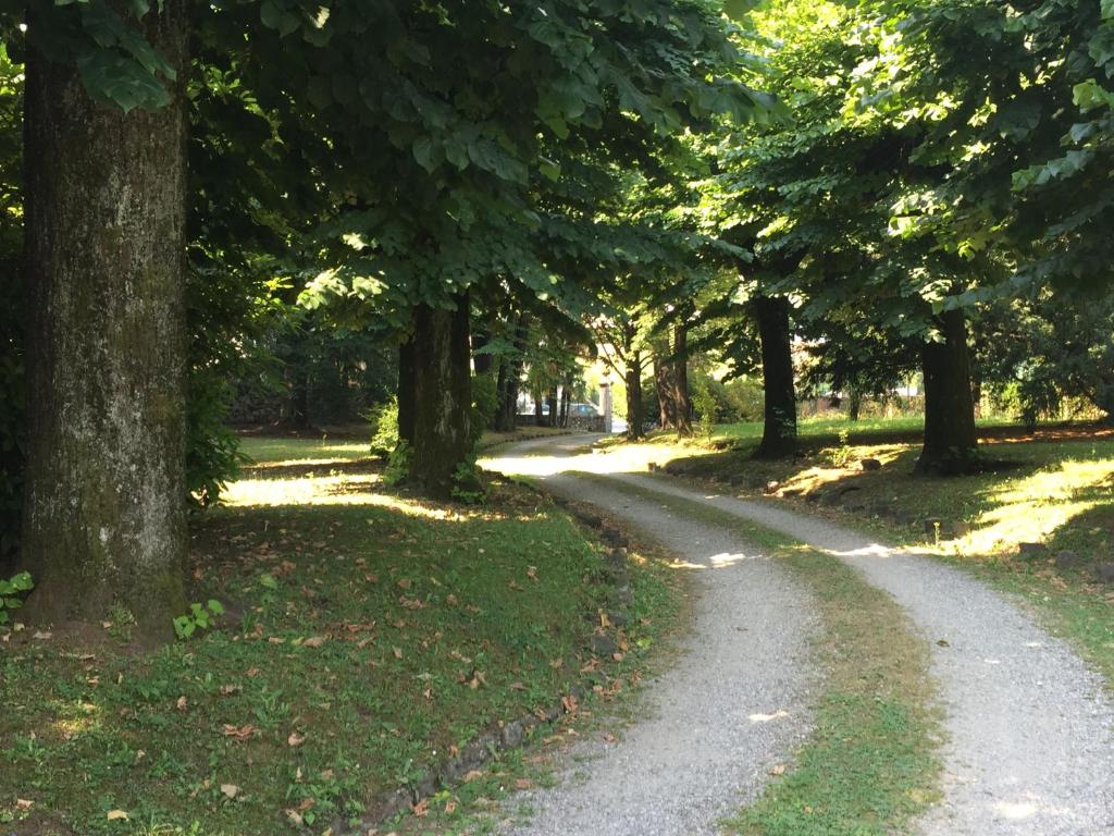 ścieżka w parku z drzewami i trawą w obiekcie Appartamenti Edvina w mieście Baveno