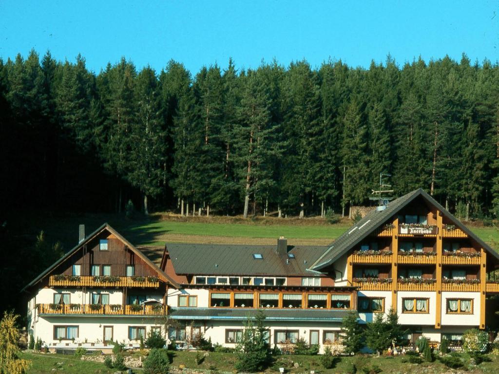 ein großes Gebäude mit Bäumen im Hintergrund in der Unterkunft Waldhotel Auerhahn B&B Bed & Breakfast in Eisenbach