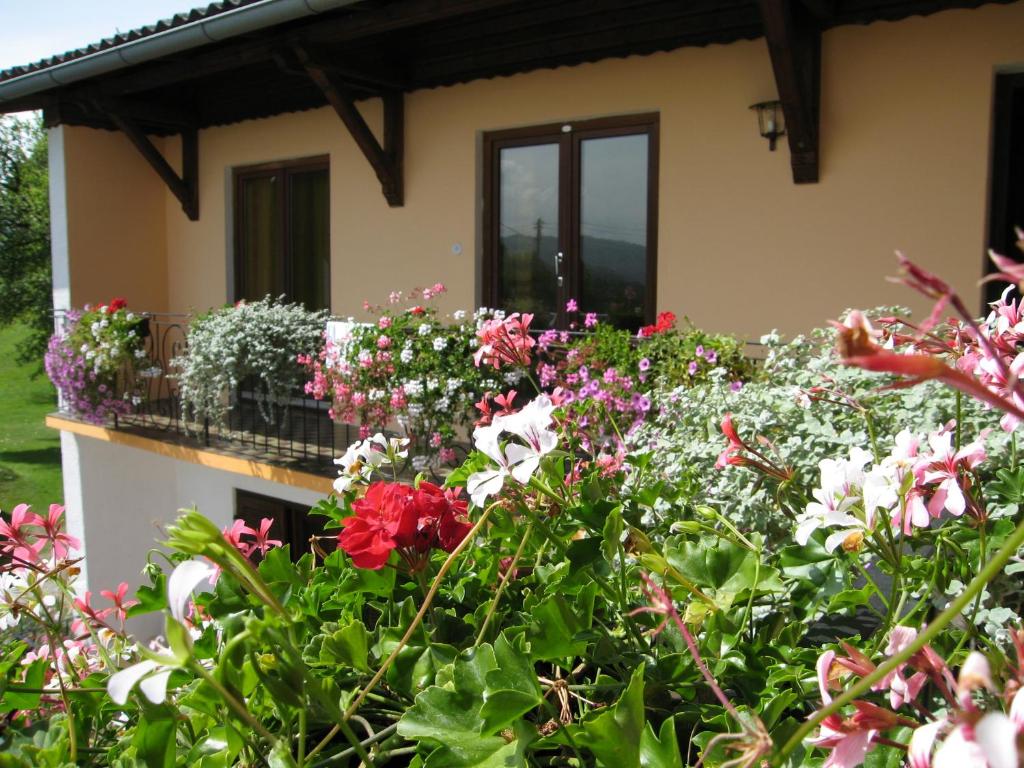 Zahrada ubytování Haus Falle