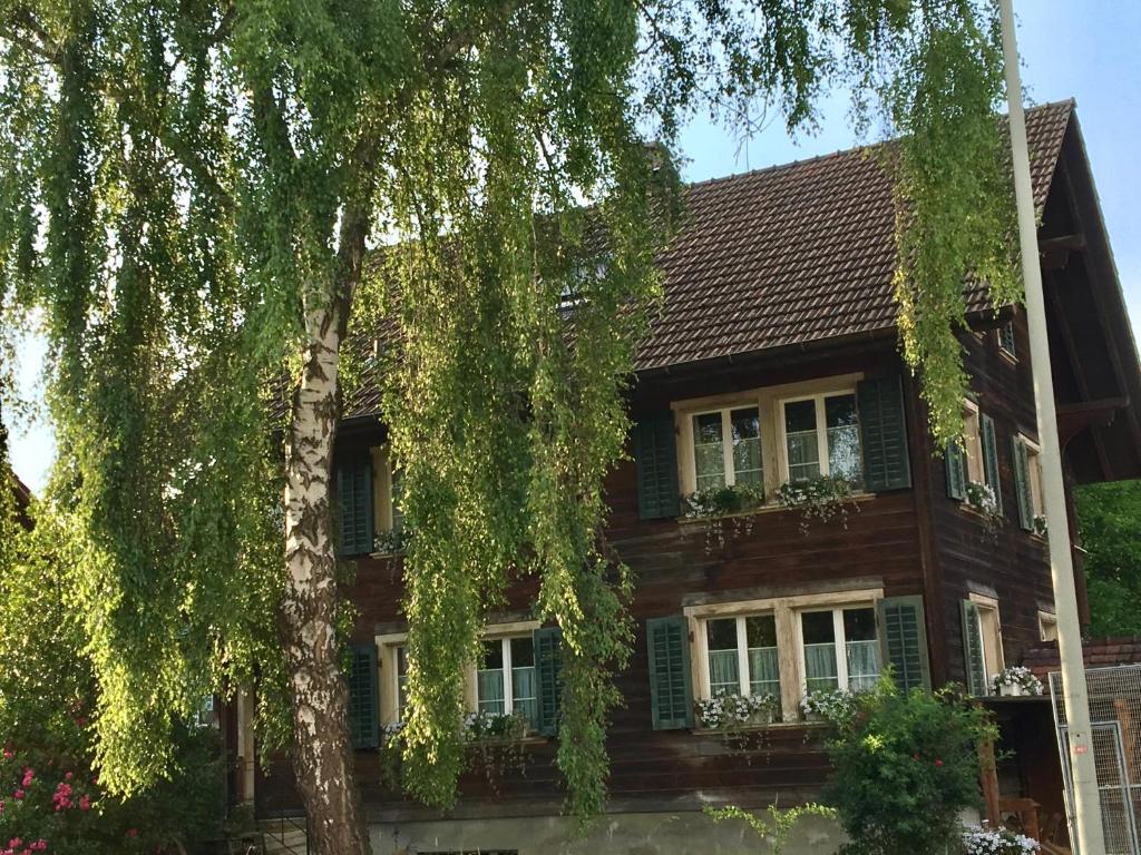 Zahrada ubytování Conny's B&B