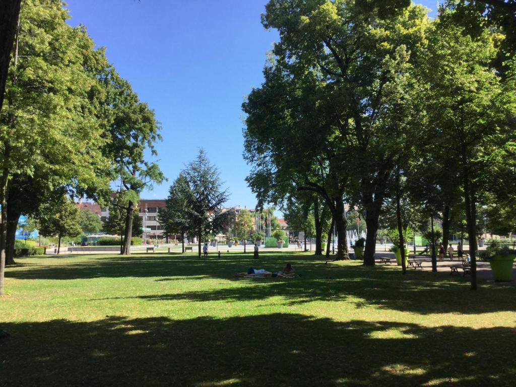Les Hauts de Colmar – photo 20