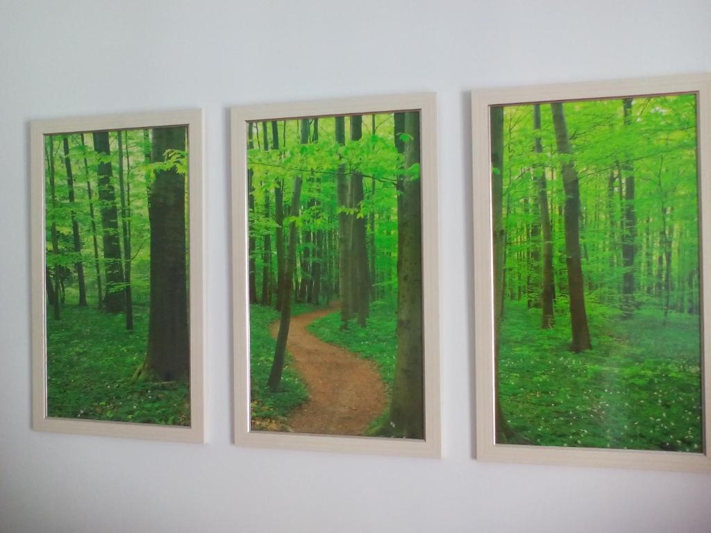 Fotografie z fotogalerie ubytování New La Granada v destinaci Granada