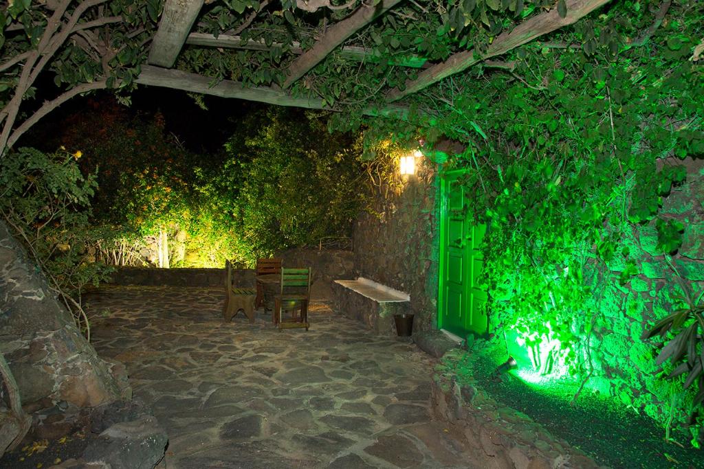 A garden outside Hotelito La Era B&B