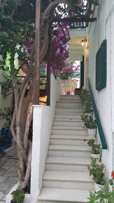 Fotografie z fotogalerie ubytování Syrianos Hotel v destinaci Naxos Chora