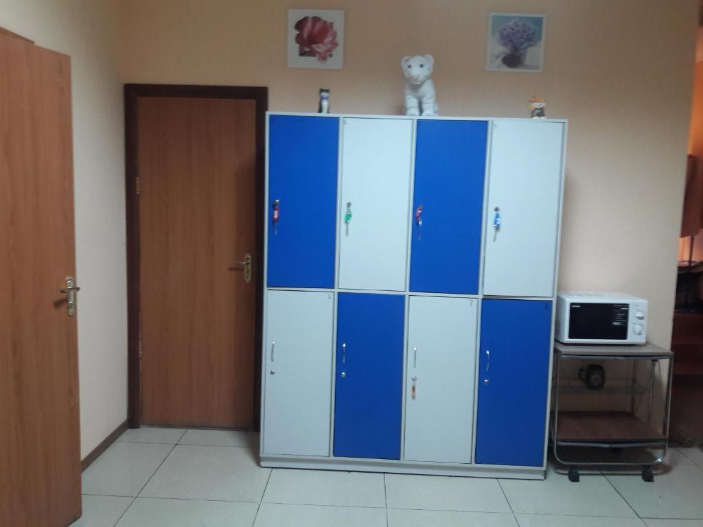 TV a/nebo společenská místnost v ubytování Hostel Teremok