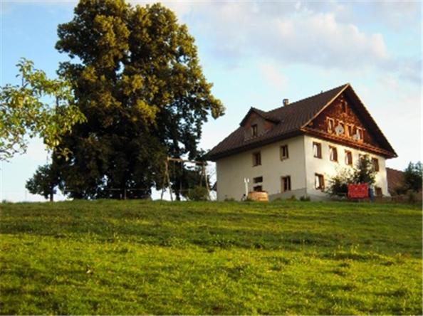 a house on a grassy field with a tree and a tree at Bed and Breakfast Huobschür in Hellbühl