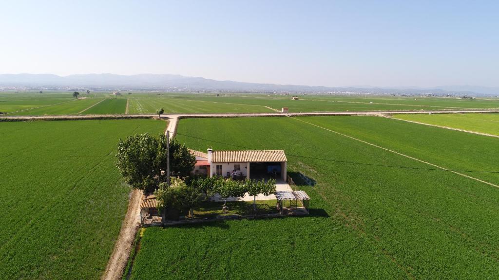 a small house in the middle of a green field at Caseta Montanyana in Deltebre