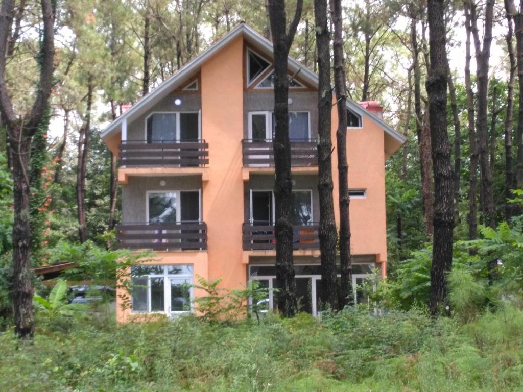 a house in the woods with trees at Villa Vachnadze in Shekvetili