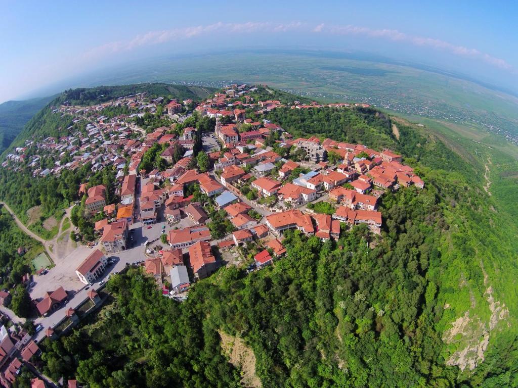 uma vista aérea de uma cidade sobre uma montanha em Guest House Kamea em Signagi