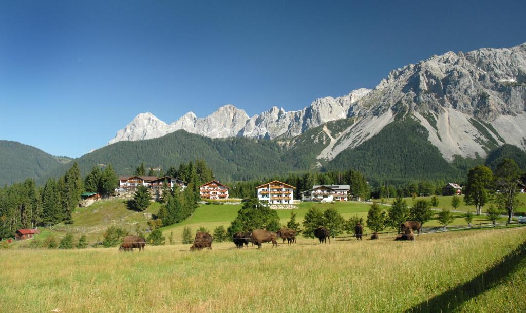 Příroda nedaleko hotelu