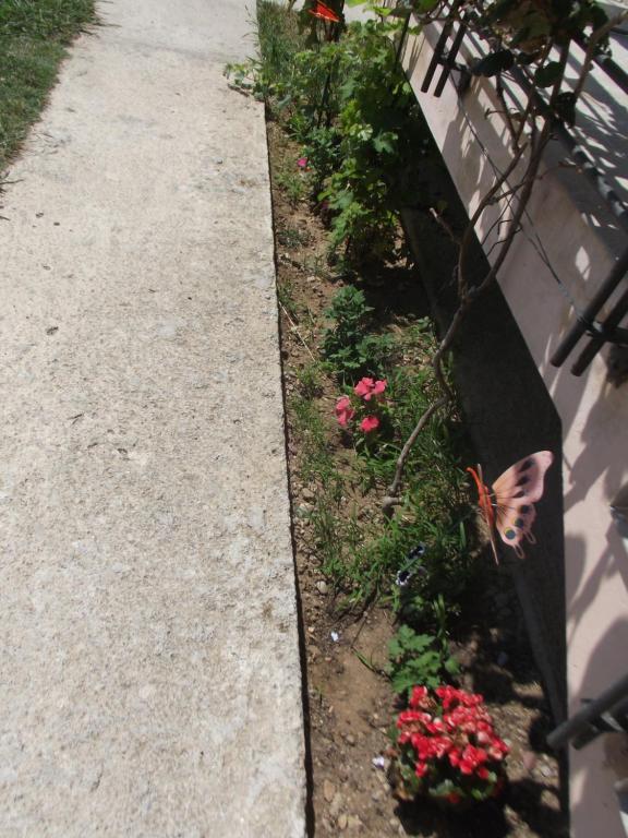 Vonkajšia záhrada v ubytovaní Apartmani Stojanović