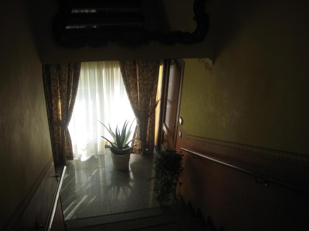 Fotografie z fotogalerie ubytování Hostal El Pinar v destinaci Avila