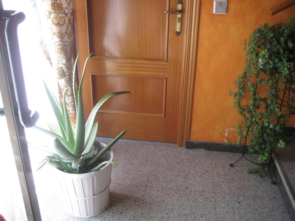 Fotografie z fotogalerie ubytování Hostal El Pinar v destinaci Avila
