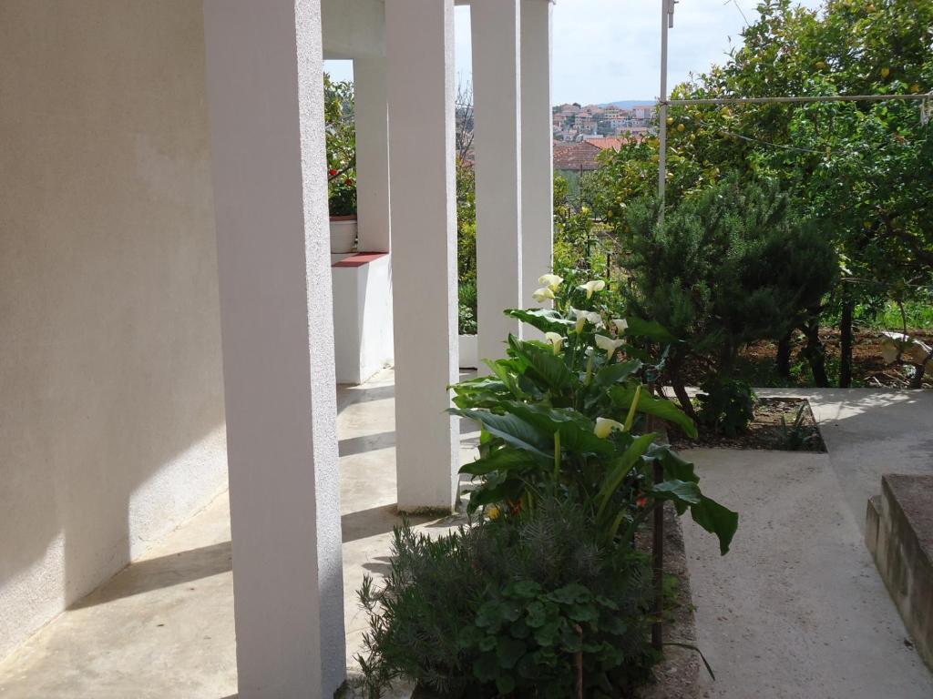 Zahrada ubytování Apartment Milat