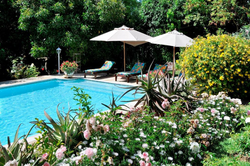 Gallery image of Alba House Guest House in Paarl