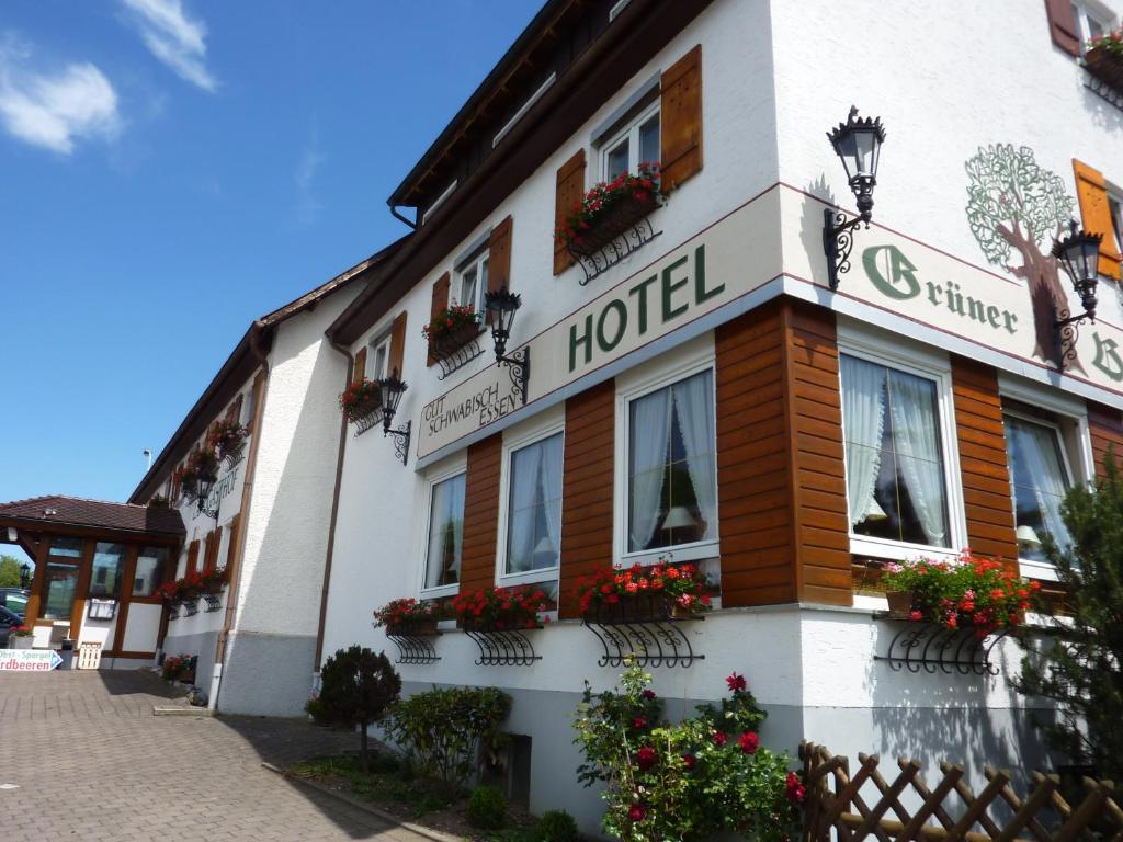 a hotel with flower boxes on the side of a building at Hotel Landgasthof Grüner Baum in Hochdorf