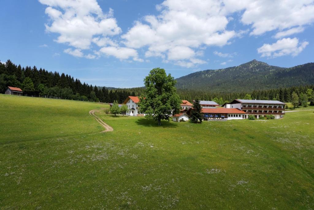 Příroda nedaleko hotelu