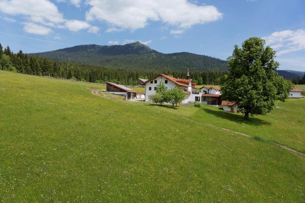 Příroda nedaleko hotelu