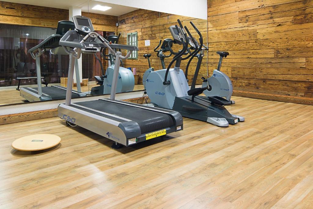 Fitness centrum a/nebo fitness zařízení v ubytování Hotel Etrier