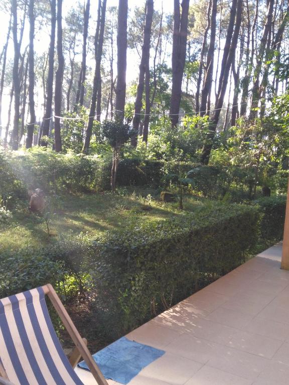 Zahrada ubytování Villa Vachnadze