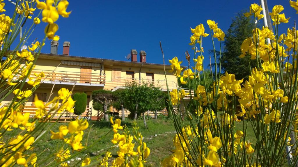 ein Gebäude mit gelben Blumen davor in der Unterkunft Residence Le Terrazze in Carpegna