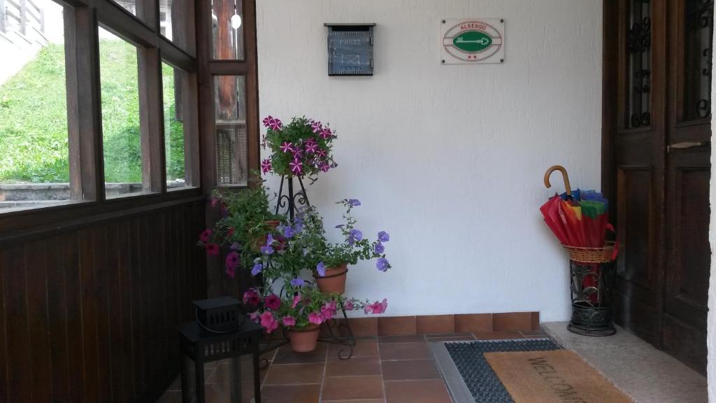 Zahrada ubytování Albergo al Sole