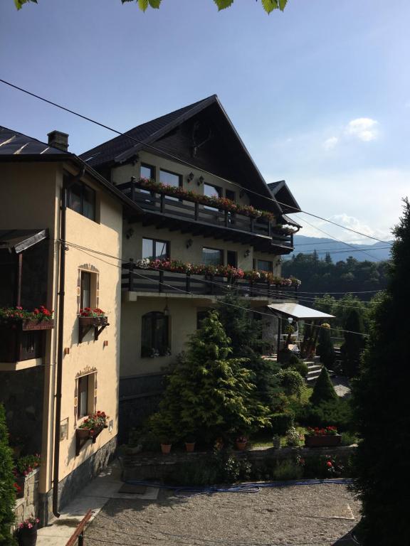 Pension Casa Ali & Andu