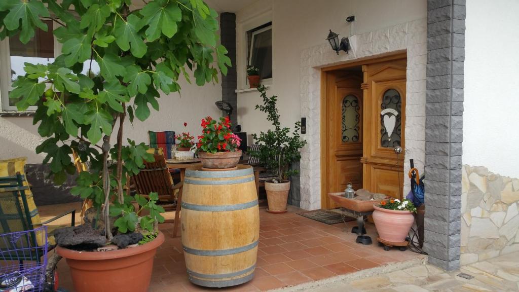 Une bande de plantes en pot en pots sur un patio dans l'établissement Casa Mia, à Cassel