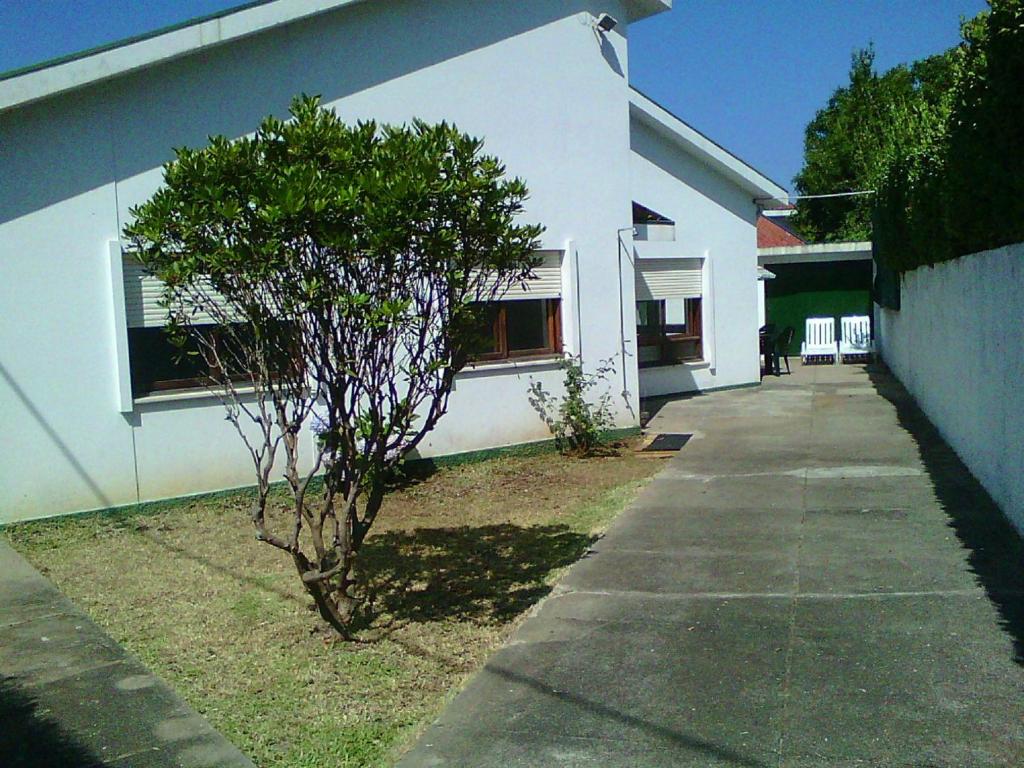 een kleine boom voor een wit gebouw bij Guest House Francelos in Vila Nova de Gaia