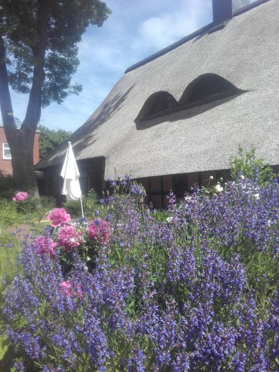 a garden with purple flowers in front of a house at Apartment-unter-Reet in Kiel