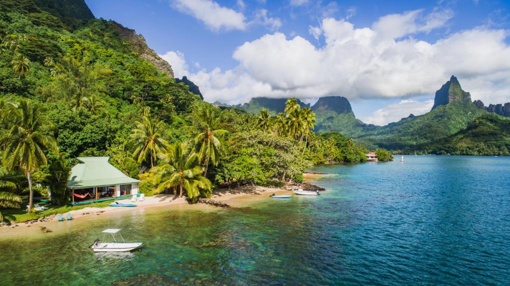 una playa con palmeras y barcos en el agua en Robinson's Cove Villas - Deluxe Cook Villa en Papetoai