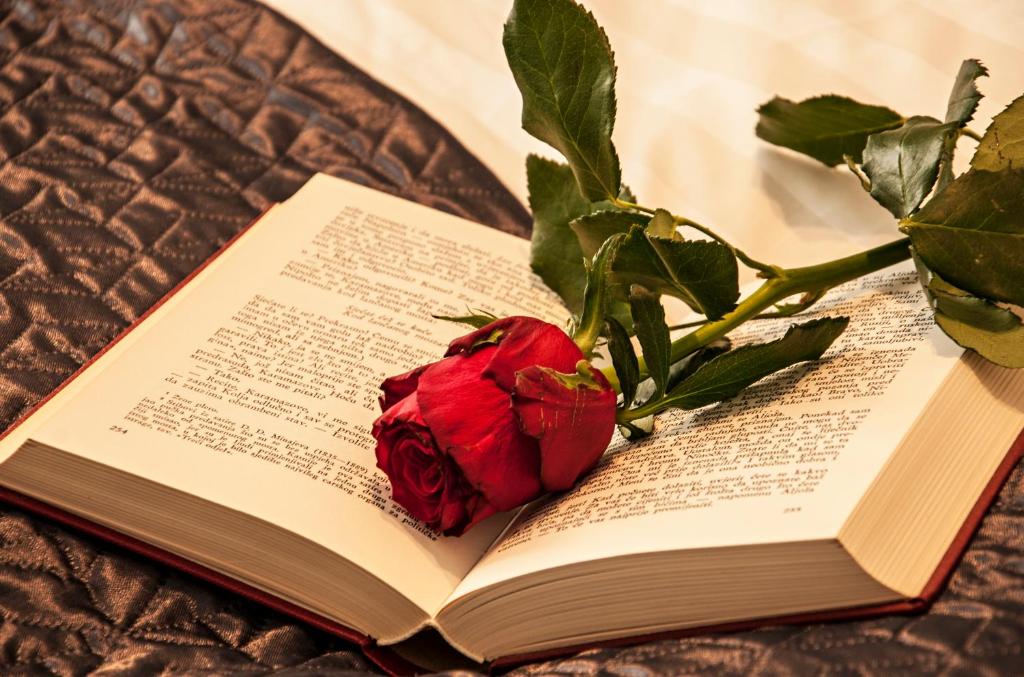 Apartments Mihaela - 19