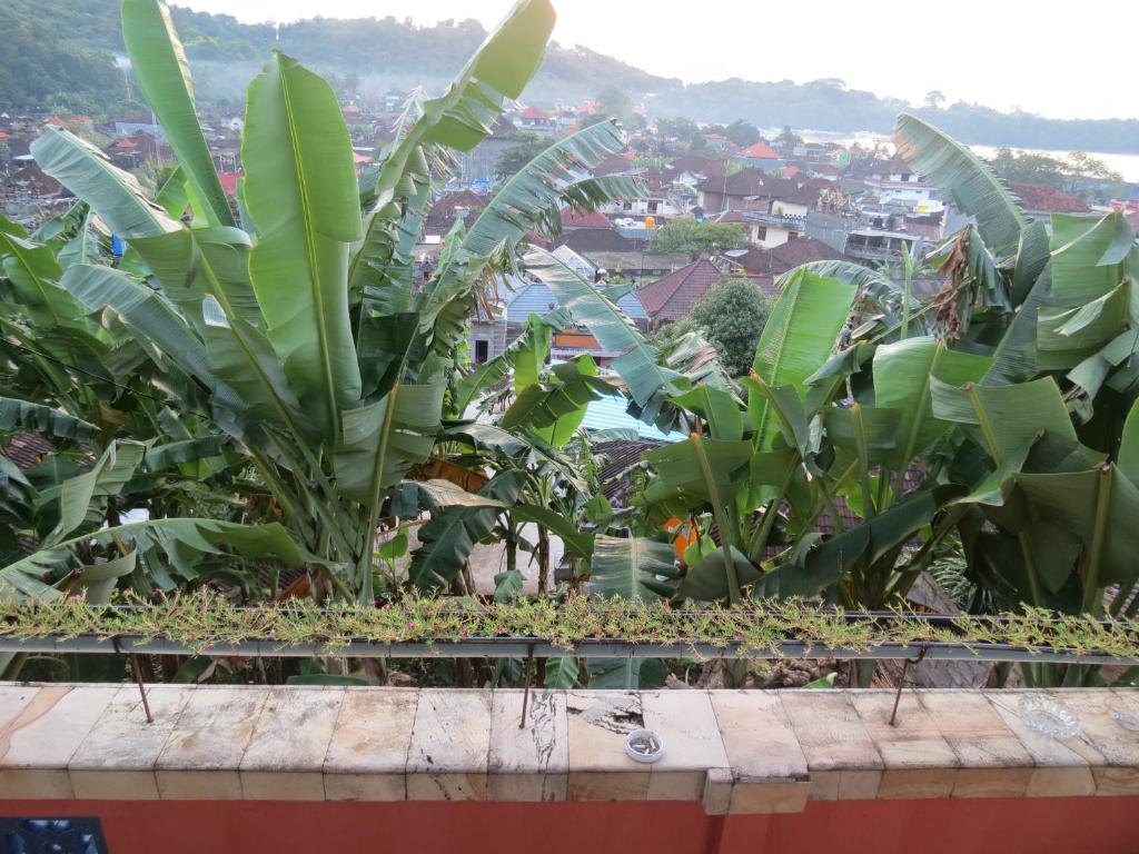 Paisaje cerca de este albergue
