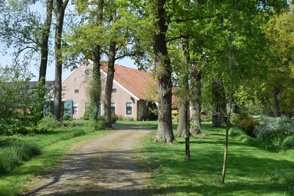 eine unbefestigte Straße vor einem Haus mit Bäumen in der Unterkunft De Hiddinghhoeve in Onstwedde
