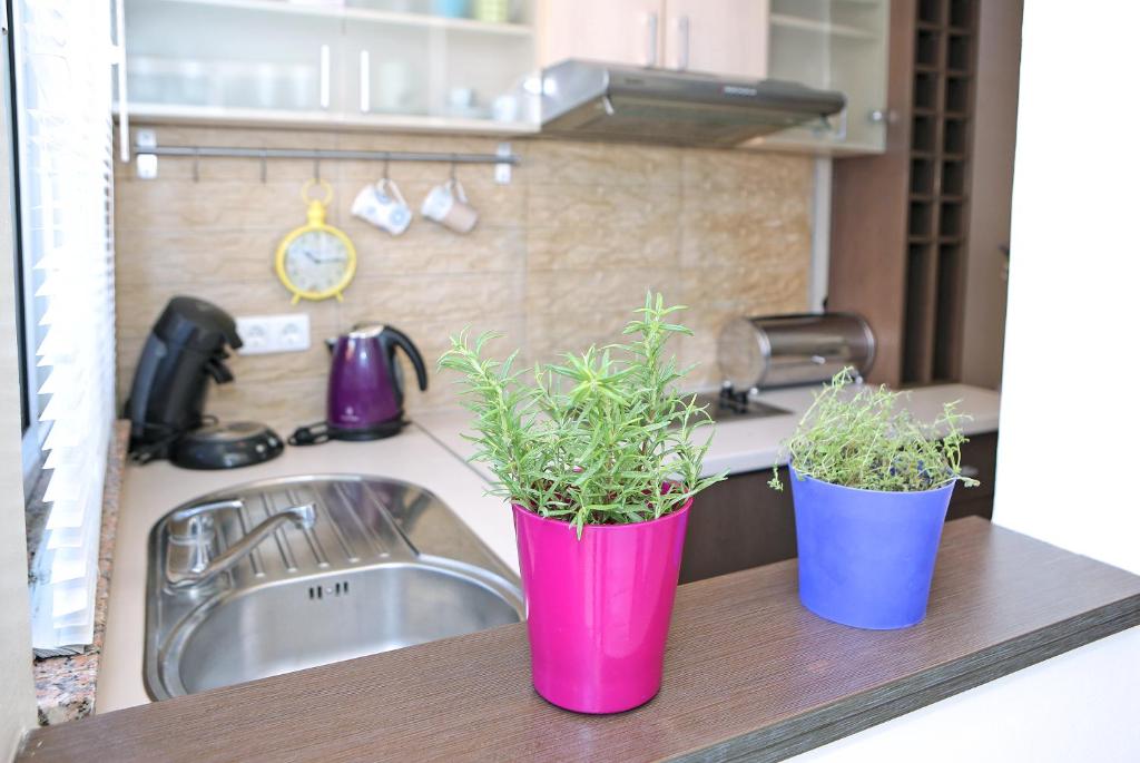 Kuchyň nebo kuchyňský kout v ubytování Apartment Ana