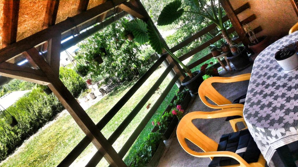balkon z krzesłami i ogrodem w obiekcie Apartment Antić w mieście Sokobanja