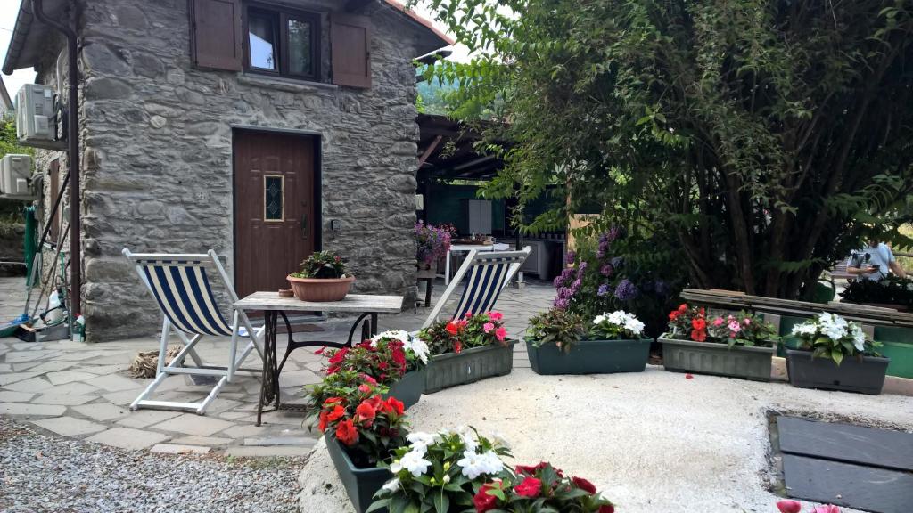 Zahrada ubytování Casa La Rosa