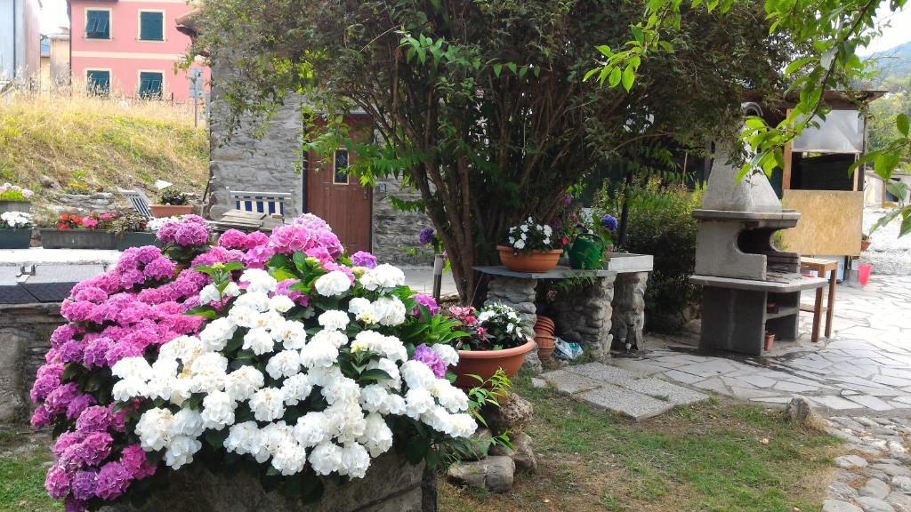 Zahrada ubytování Casa La Rosa