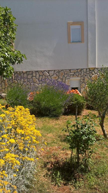 Zahrada ubytování Apartments Krušvina
