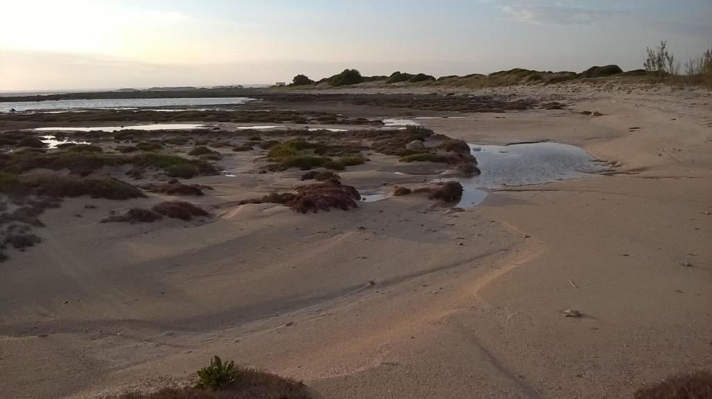 Le Sinfonie Rooms - foto 41