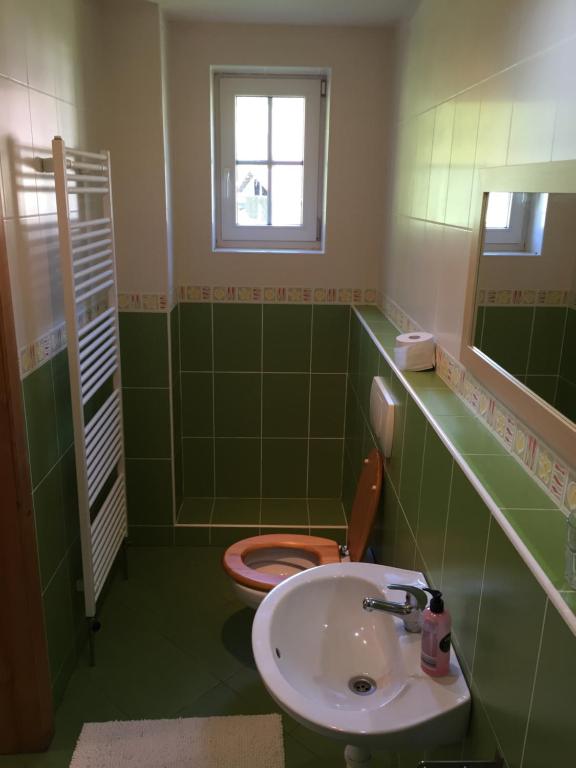 Koupelna v ubytování Apartments Huty