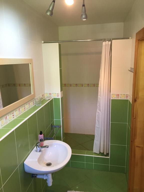 Koupelna v ubytování Apartments Huty