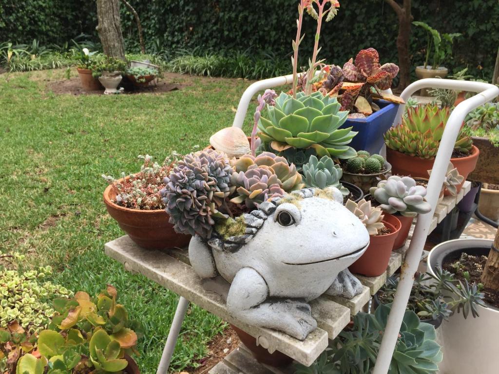 a stuffed frog sitting on a table with plants at Lei Home in Cascais