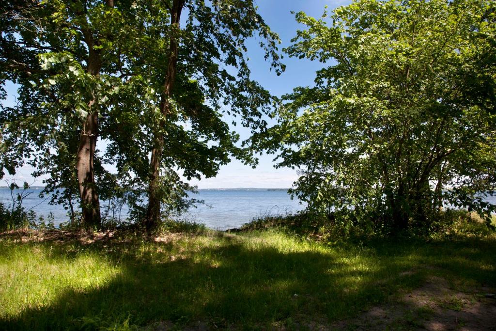 Fotografia z galérie ubytovania Pokoje Kleszczewo Osada v destinácii Rydzewo
