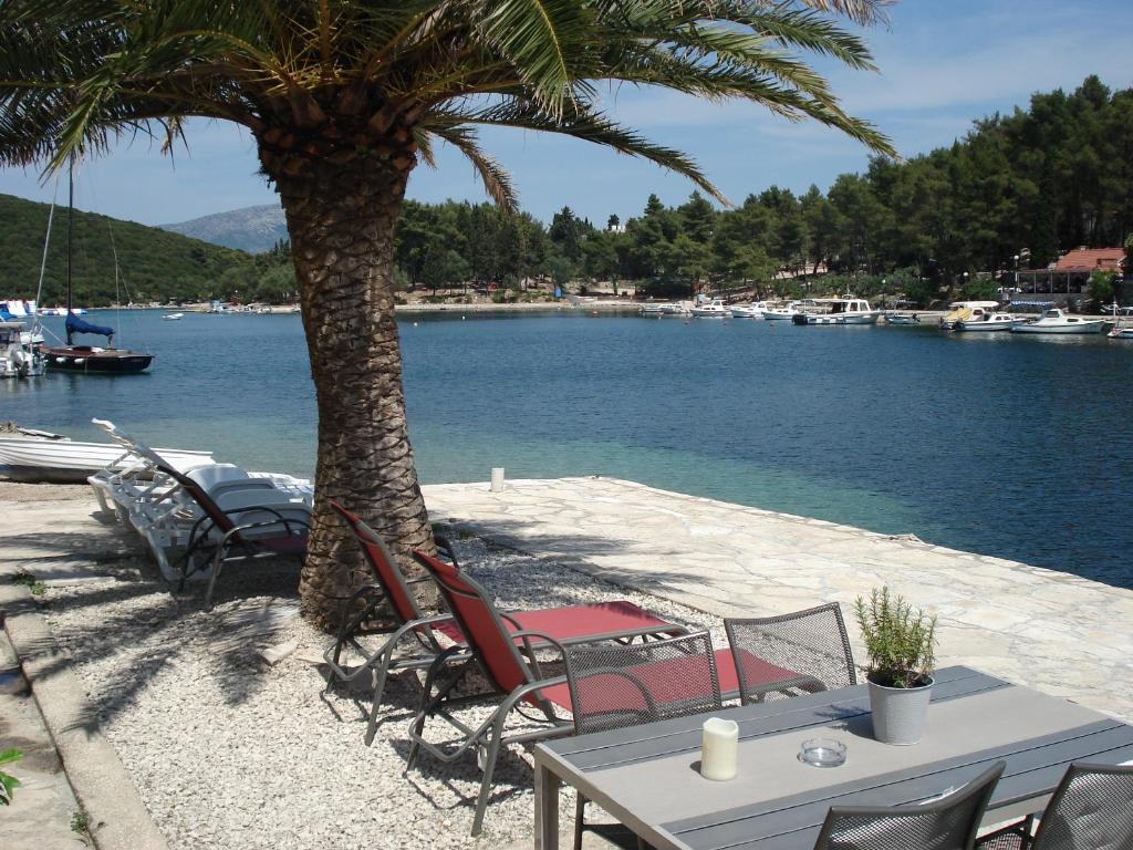 uma mesa e cadeiras debaixo de uma palmeira junto à água em Apartments Luka em Korčula